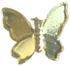 Small Gold Butterfly HFA031