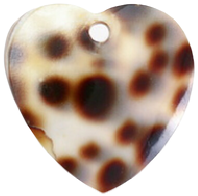 Leopard Heart HF002