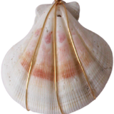 Shell #1