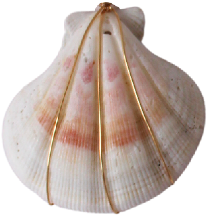 Shell #1