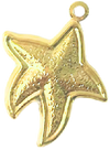 Starfish CW015