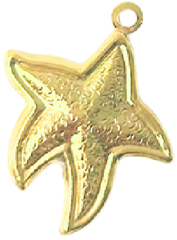 Starfish CW015