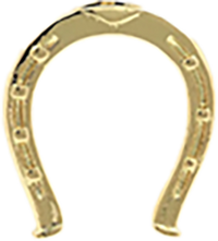 Large Horseshoe CW031