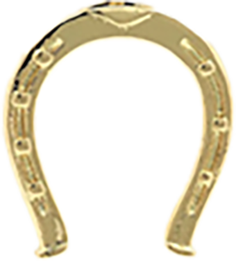 Large Horseshoe CW031