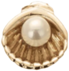 Clam Shell With Small Pearl CW018