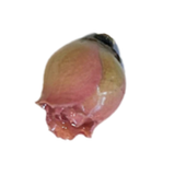 Pink 3D Resin Rose HF027