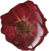 Red Pressed Flower Pendant P012