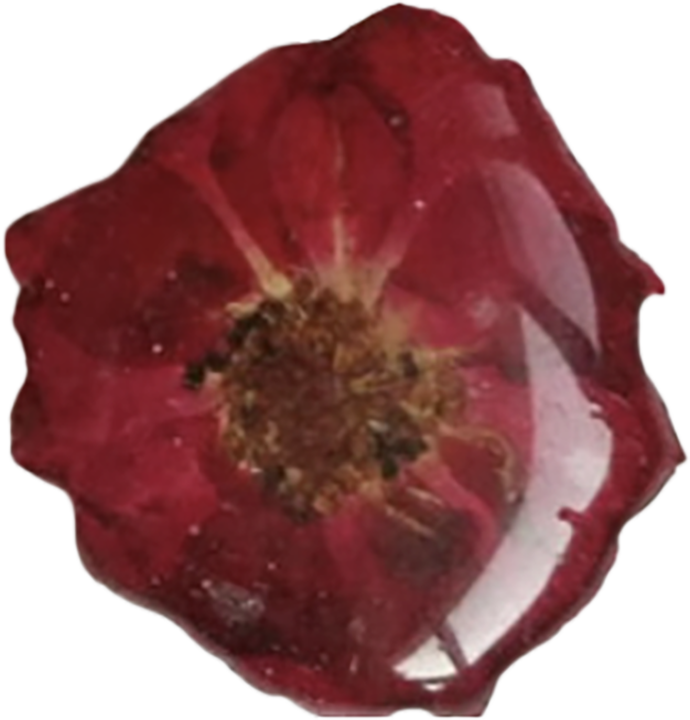 Red Pressed Flower Pendant P012