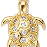 Big Turtle HFA039