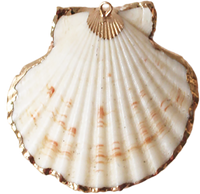 White Shell Pendant P014